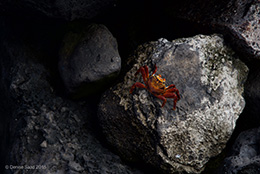 img01